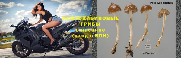марки lsd Белоозёрский