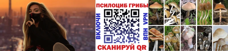 кракен ССЫЛКА  Верхняя Пышма  Псилоцибиновые грибы прущие грибы 